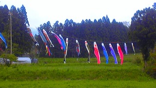 c0033521_2151136.jpg