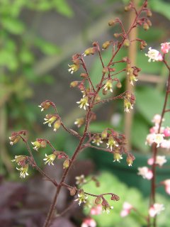 b0031925_2351811.jpg