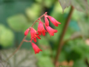 b0031925_2353812.jpg