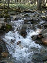b0175525_21211320.jpg