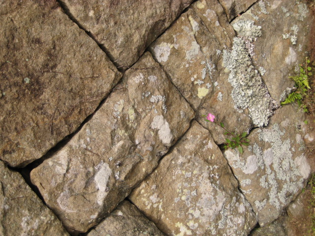 d0147727_851548.jpg