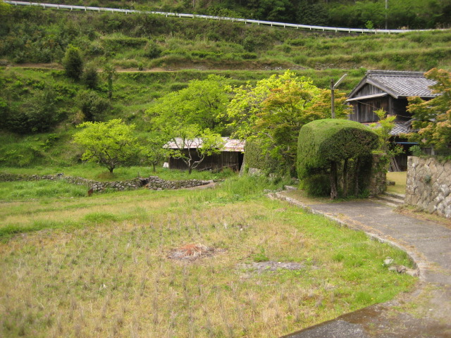 d0147727_8532030.jpg