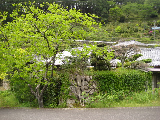 d0147727_8534539.jpg
