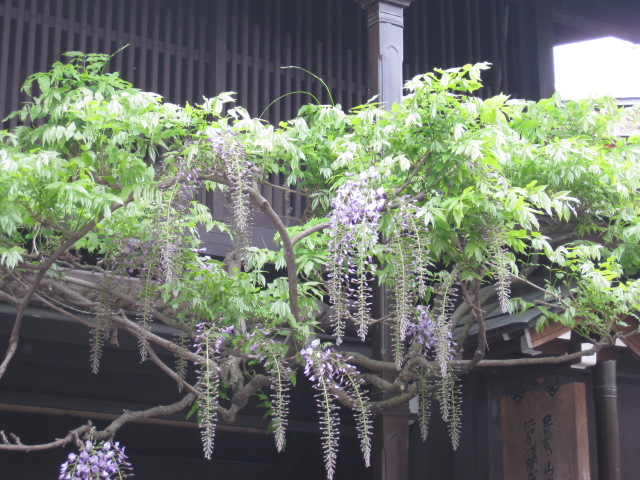 b0170128_1043768.jpg
