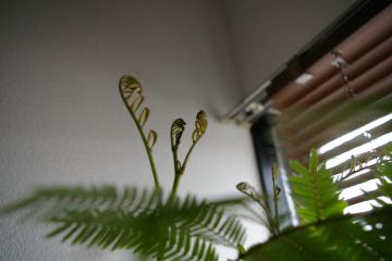 a0024829_11484255.jpg