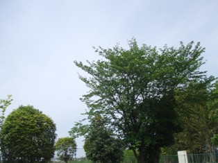 f0185329_13394047.jpg