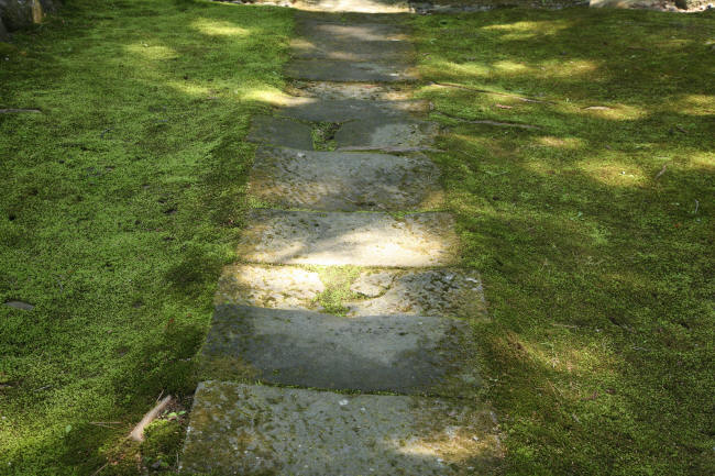 f0017530_20294994.jpg