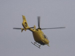 d0017632_23553166.jpg