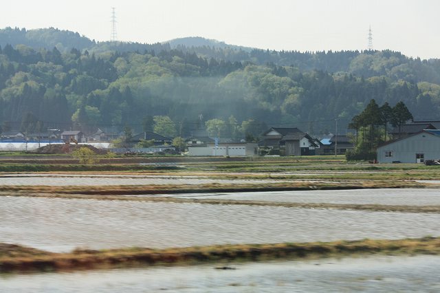 e0149733_1134173.jpg