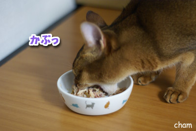 c0132438_2150197.jpg