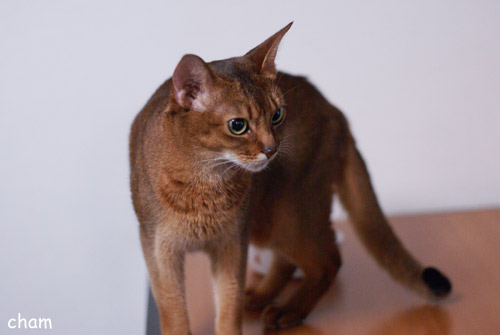 c0132438_21543159.jpg