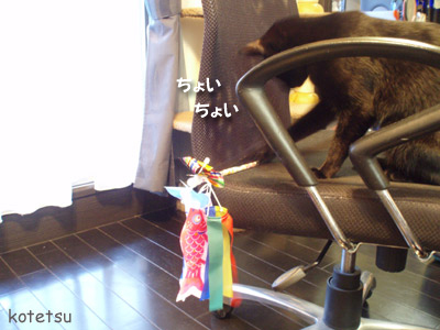 c0132438_2233275.jpg