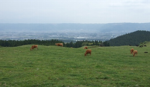 b0149340_15352915.jpg