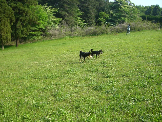 e0025240_1074167.jpg