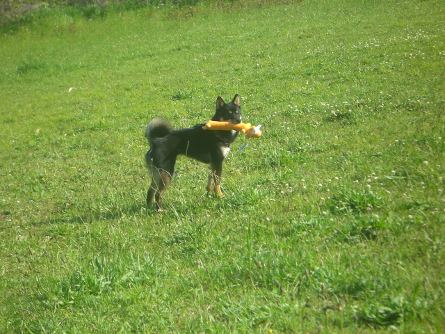 e0025240_108829.jpg