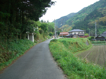 e0110940_77412.jpg