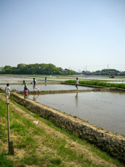 f0032340_16404610.jpg