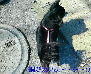 c0121141_1743375.jpg