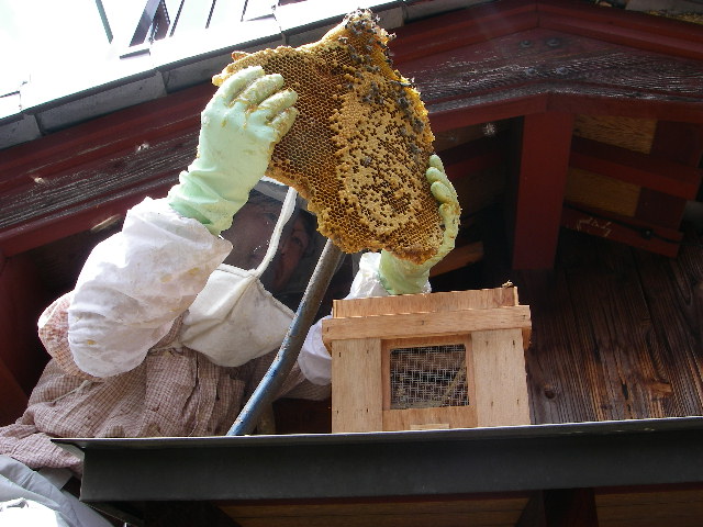 f0053342_1534469.jpg