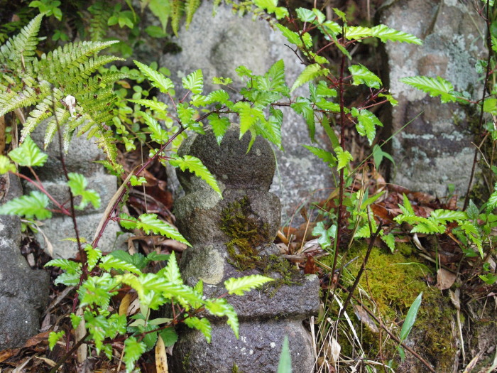 c0072843_188513.jpg