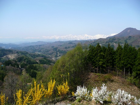 c0057946_22332762.jpg