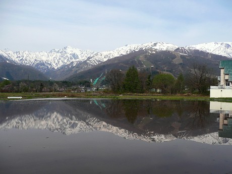 c0057946_22392495.jpg