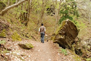 e0126046_20152167.jpg
