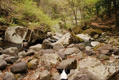 e0126046_20215864.jpg