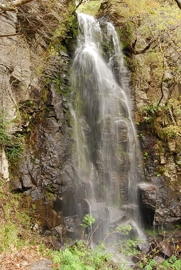e0126046_20234271.jpg