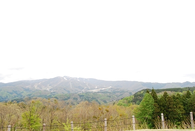 e0126046_2024917.jpg