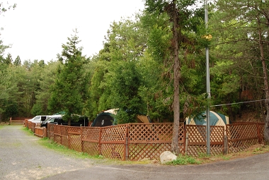 e0126046_20415590.jpg