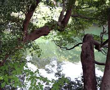 f0183846_2044318.jpg