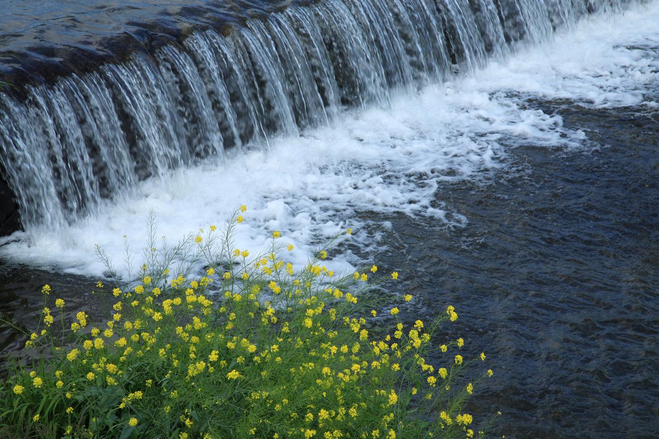 f0133847_12434792.jpg