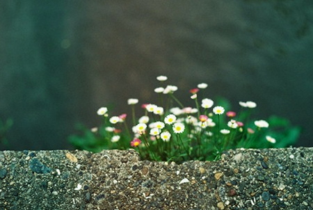 e0170048_063019.jpg