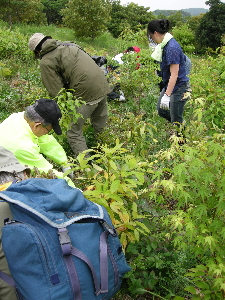 a0003150_8121599.jpg
