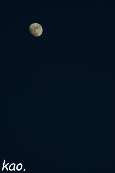 b0164651_20511029.jpg