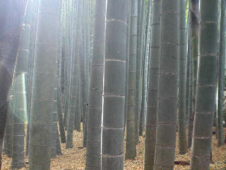 f0045956_21444082.jpg