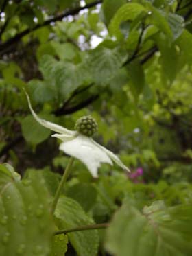 f0168256_16405027.jpg