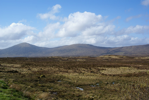 b0088058_7182028.jpg