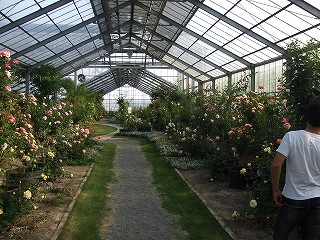 a0104162_19223251.jpg
