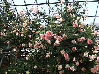 a0104162_1923115.jpg