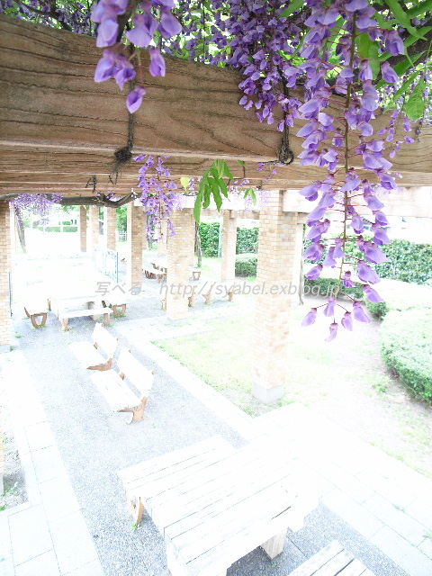 c0153764_1881575.jpg