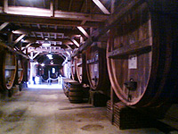 b0008465_14115126.jpg