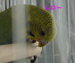 f0196665_0192356.jpg
