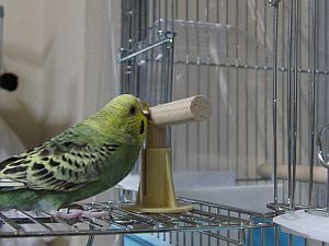 f0196665_025924.jpg