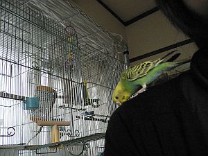 f0196665_0265393.jpg