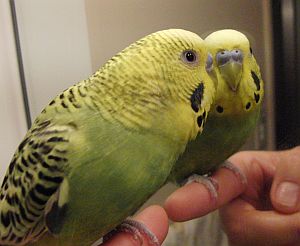 f0196665_23473755.jpg