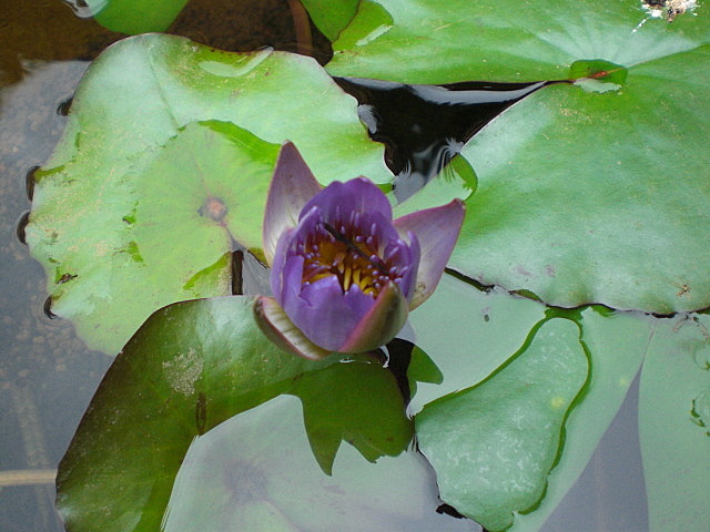 b0149867_15565282.jpg