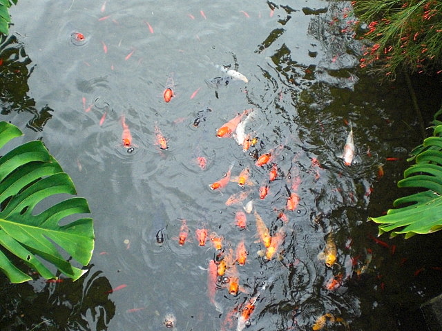 b0149867_15595933.jpg