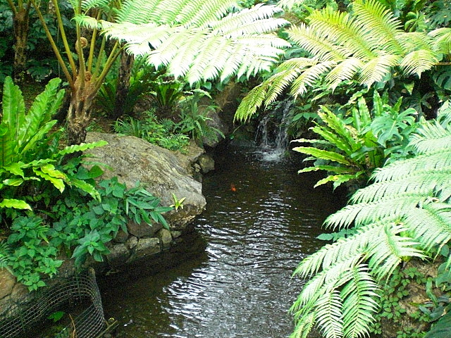 b0149867_1602292.jpg